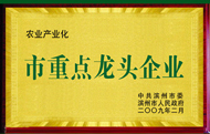 縣級重點龍頭企業(yè)